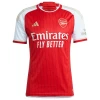 Arsenal FC Gabriel Jesus #9 Voetbalshirt 2023-24 Thuistenue Heren