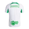 Atletico Nacional Voetbalshirt 2024-25 Uittenue Heren