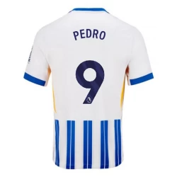 Brighton Hove Albion Pedro #9 Voetbalshirt 2024-25 Thuistenue Heren