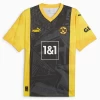 BVB Borussia Dortmund Maatsen #22 Voetbalshirt 2024-25 Special Thuistenue Heren