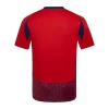 Costa Rica Voetbalshirt Copa America 2024 Thuistenue Heren