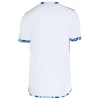 Cruzeiro EC Voetbalshirt 2024-25 Uittenue Heren