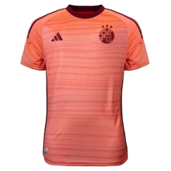 GNK Dinamo Zagreb Voetbalshirt 2023-24 Uittenue Heren