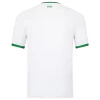 Ierland Voetbalshirt 2023 Uittenue Heren