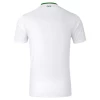 Ierland Voetbalshirt 2024 Uittenue Heren