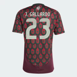 J. Gallardo #23 Mexico Voetbalshirt Copa America 2024 Thuistenue Heren