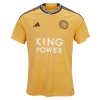 Leicester City Voetbalshirt 2023-24 Thirdtenue Heren