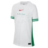 Nigeria Voetbalshirt 2024 Thuistenue Heren