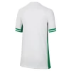 Nigeria Voetbalshirt 2024 Thuistenue Heren