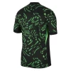 Nigeria Voetbalshirt 2024 Uittenue Heren