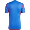 Olympique Lyonnais Voetbalshirt 2023-24 Uittenue Heren