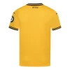 Wolverhampton Wanderers Voetbalshirt 2024-25 Thuistenue Heren